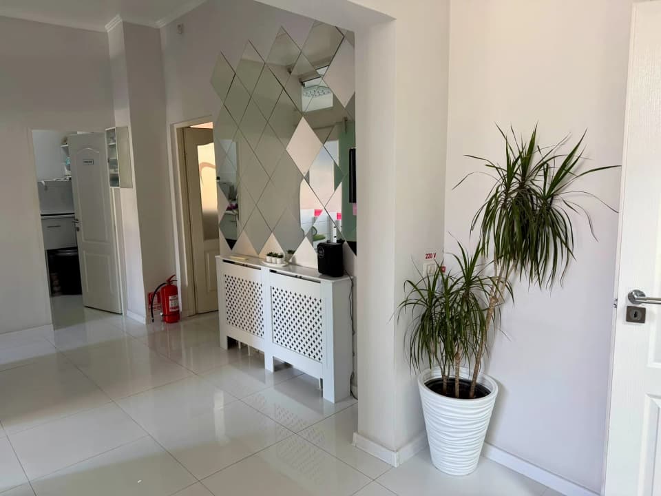 Holul de intrare Daisy Clinic Fetești, cu perete decorativ din oglinzi și plantă